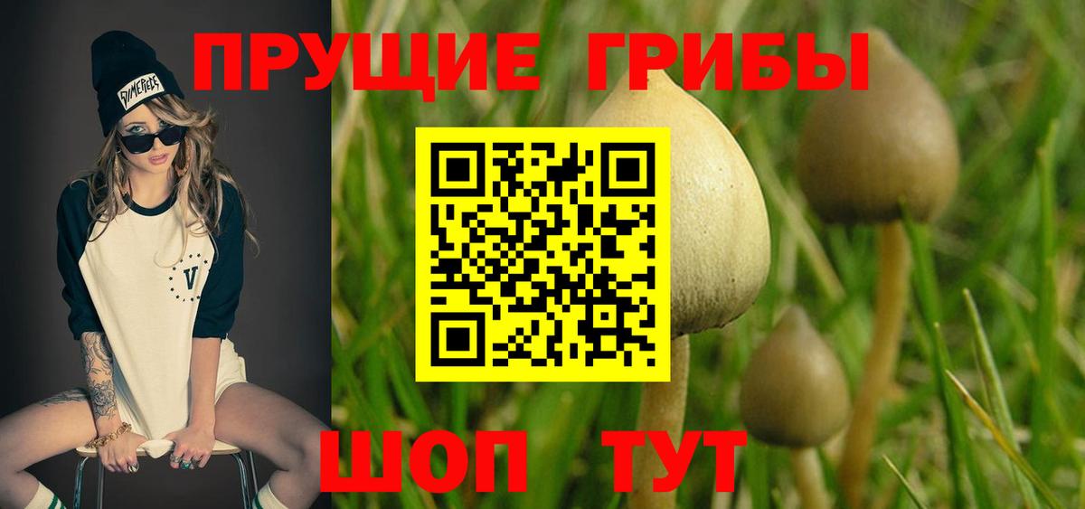 Псилоцибиновые грибы ЛСД Янаул